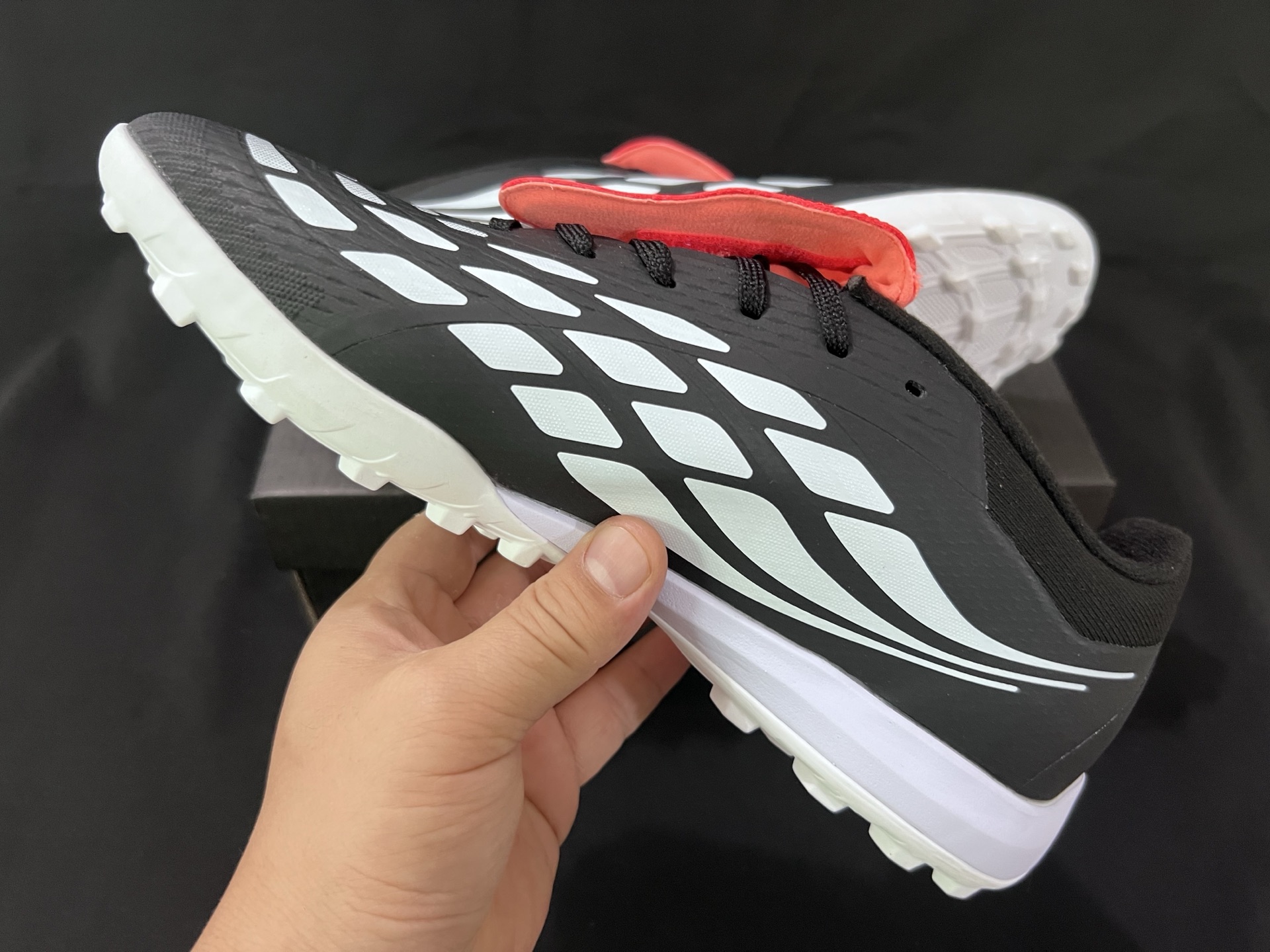 wsxc1779655598733 6 wsxc1779655598733 6
