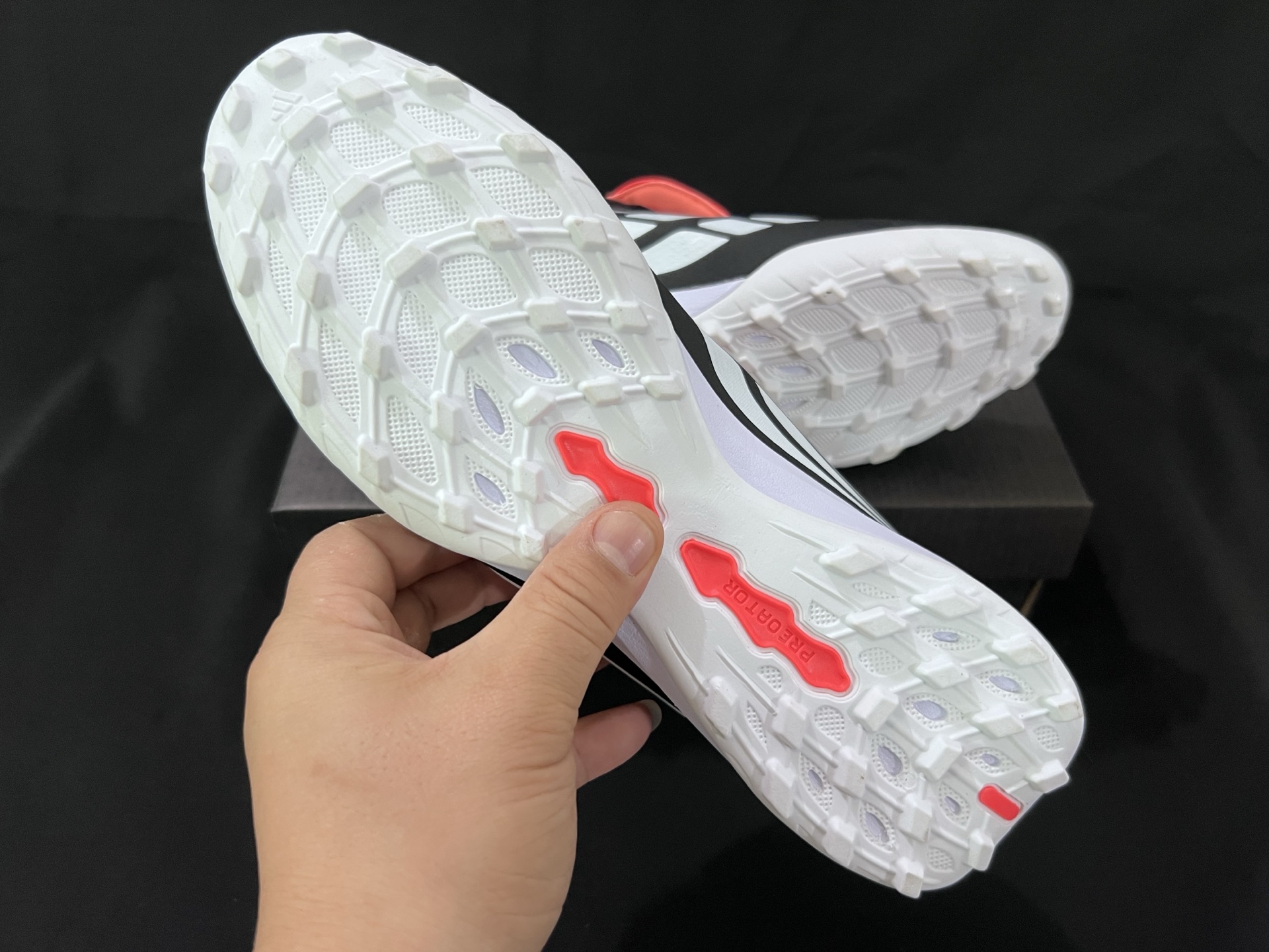 wsxc1779655598733 8 wsxc1779655598733 8