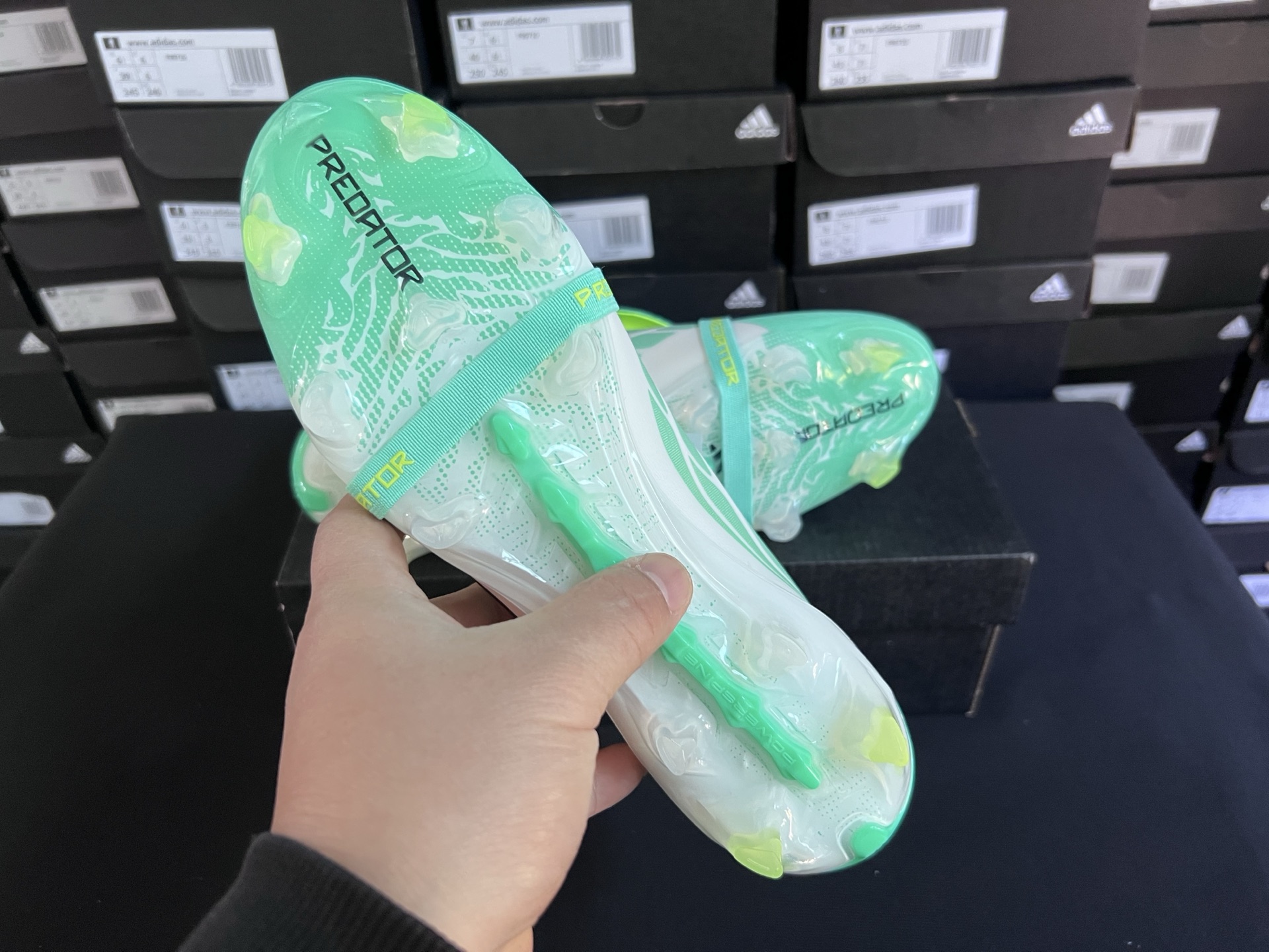 wsxc1779655758538 8 wsxc1779655758538 8