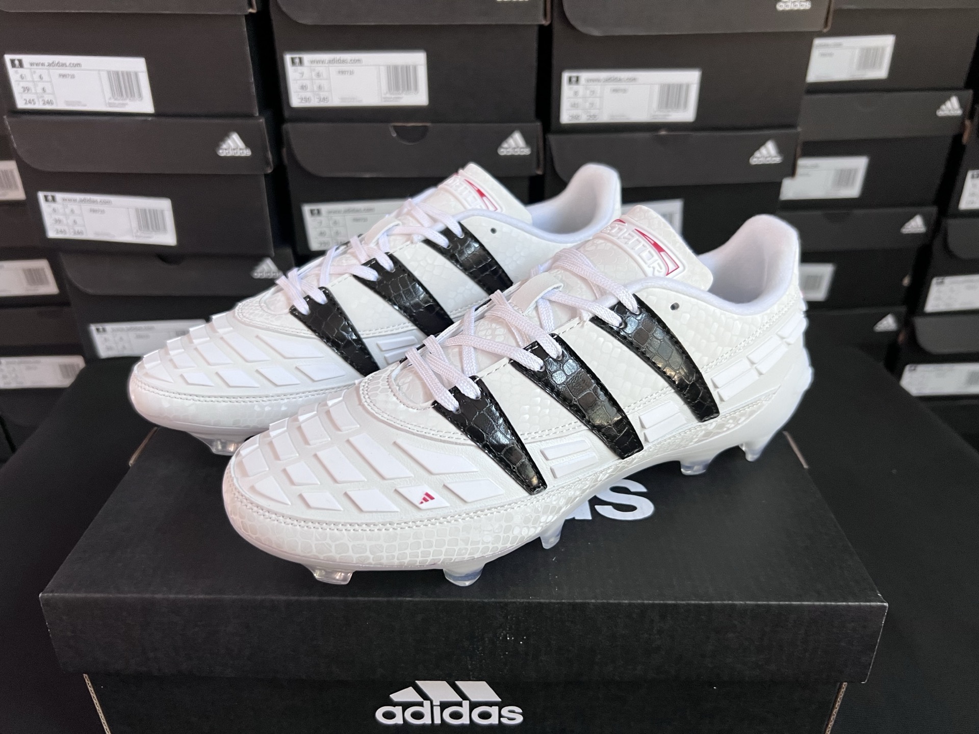 wsxc1779655767336 1 wsxc1779655767336 1