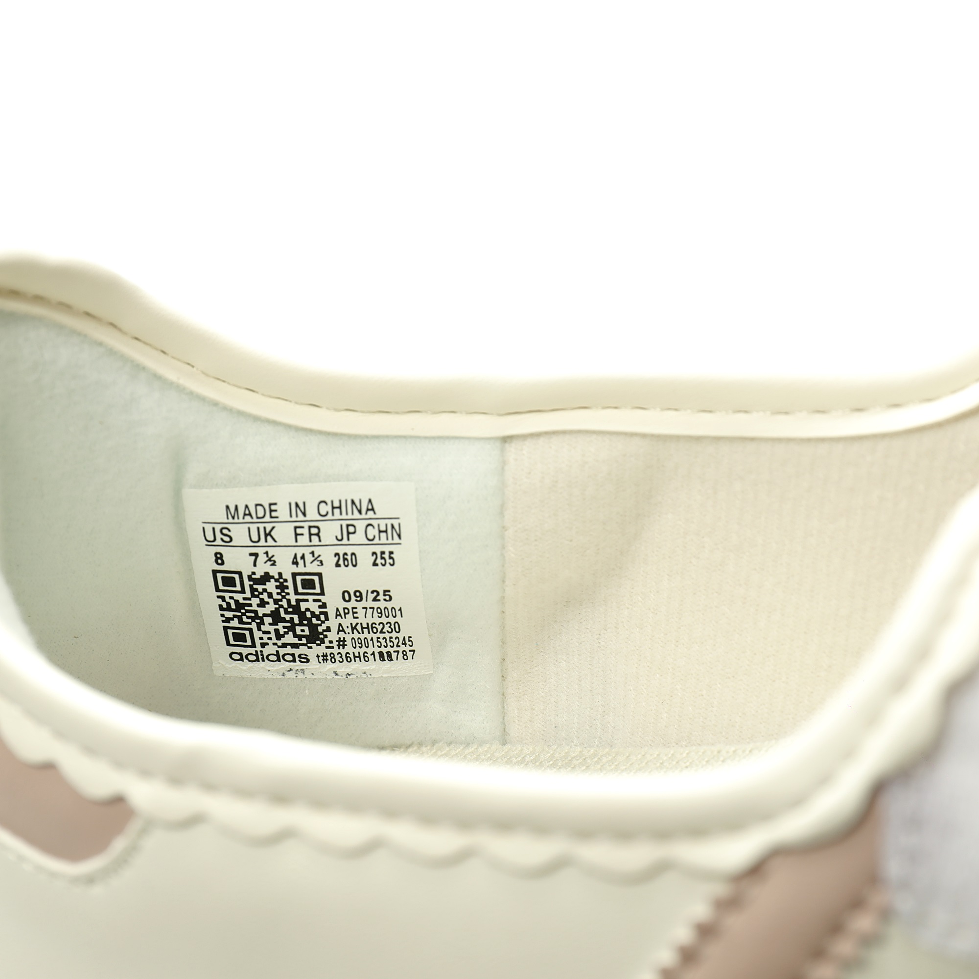 wsxc1783948836135 6 wsxc1783948836135 6